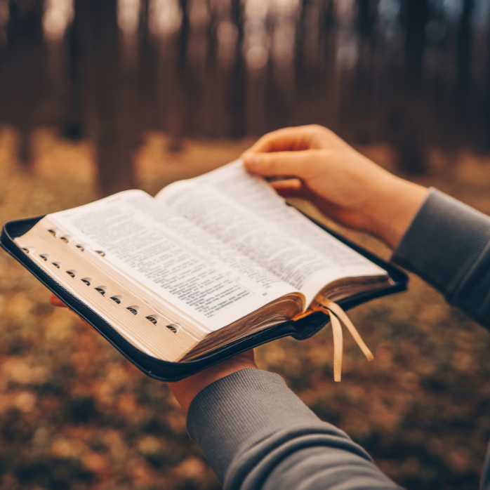 Mãos segurando uma Bíblia aberta ao ar livre